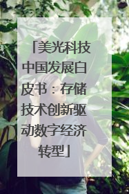 美光科技中国发展白皮书：存储技术创新驱动数字经济转型