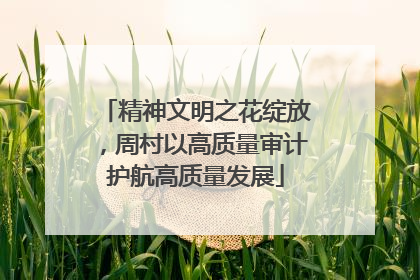 精神文明之花绽放，周村以高质量审计护航高质量发展