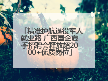 精准护航退役军人就业路 广西国企夏季招聘会释放超2000+优质岗位