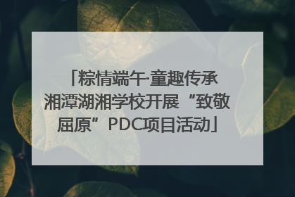 粽情端午·童趣传承 湘潭湖湘学校开展“致敬屈原”PDC项目活动