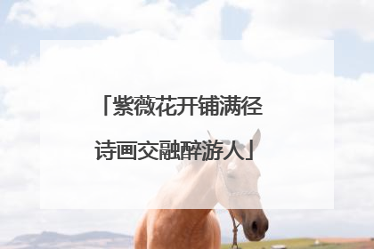 紫薇花开铺满径 诗画交融醉游人