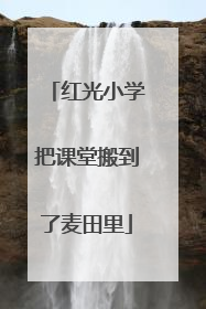 红光小学把课堂搬到了麦田里