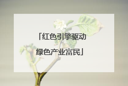 红色引擎驱动 绿色产业富民