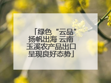 绿色“云品”扬帆出海 云南玉溪农产品出口呈现良好态势