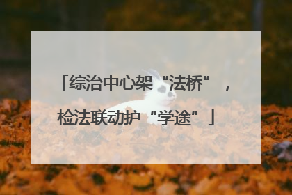 综治中心架“法桥”，检法联动护“学途”