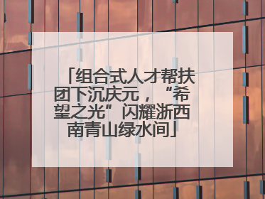 组合式人才帮扶团下沉庆元，“希望之光”闪耀浙西南青山绿水间