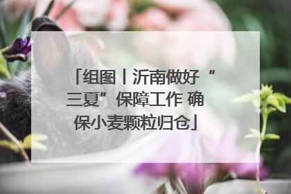 组图丨沂南做好“三夏”保障工作 确保小麦颗粒归仓