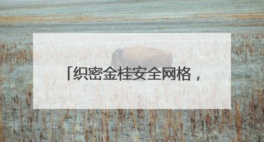 织密金桂安全网格，共筑平安家园防线