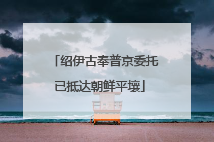 绍伊古奉普京委托已抵达朝鲜平壤