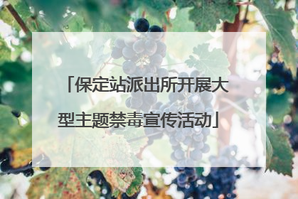 保定站派出所开展大型主题禁毒宣传活动