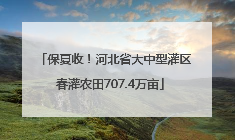 保夏收！河北省大中型灌区春灌农田707.4万亩