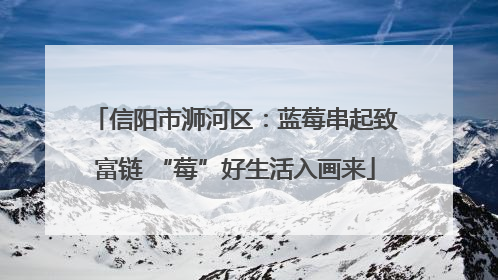 信阳市浉河区：蓝莓串起致富链 “莓”好生活入画来