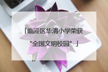 临潼区华清小学荣获“全国文明校园”