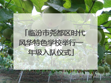 临汾市尧都区时代风华特色学校举行一年级入队仪式