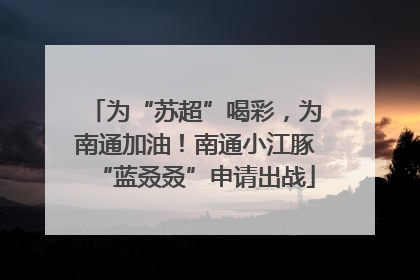 为“苏超”喝彩，为南通加油！南通小江豚“蓝叒叒”申请出战
