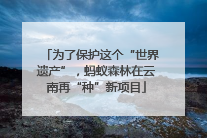 为了保护这个“世界遗产”，蚂蚁森林在云南再“种”新项目