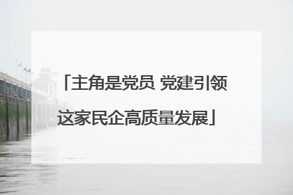 主角是党员 党建引领这家民企高质量发展