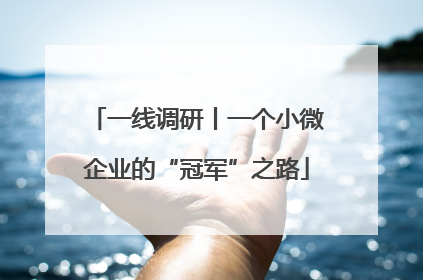 一线调研丨一个小微企业的“冠军”之路