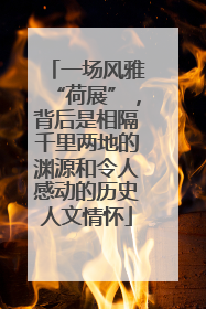 一场风雅“荷展”,背后是相隔千里两地的渊源和令人感动的历史人文情怀