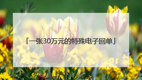一张30万元的特殊电子回单