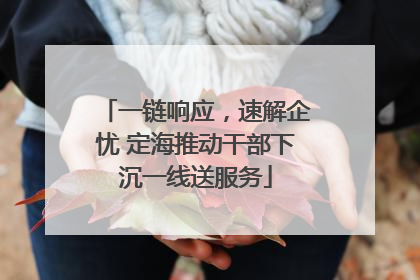 一链响应，速解企忧 定海推动干部下沉一线送服务