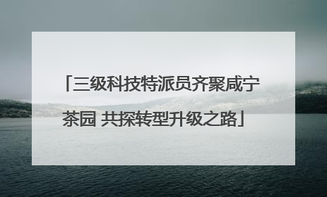 三级科技特派员齐聚咸宁茶园 共探转型升级之路