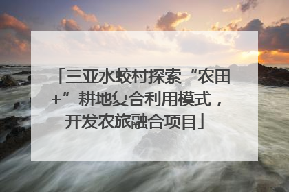 三亚水蛟村探索“农田+”耕地复合利用模式，开发农旅融合项目