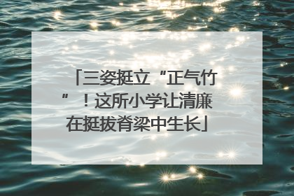 三姿挺立“正气竹”！这所小学让清廉在挺拔脊梁中生长