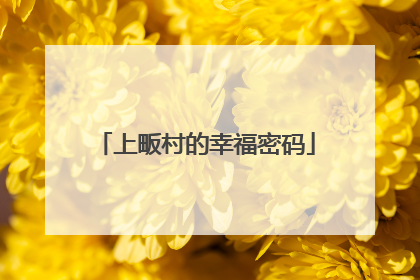 上畈村的幸福密码