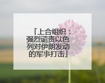 上合组织：强烈谴责以色列对伊朗发动的军事打击