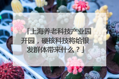 上海养老科技产业园开园，硬核科技将给银发群体带来什么？