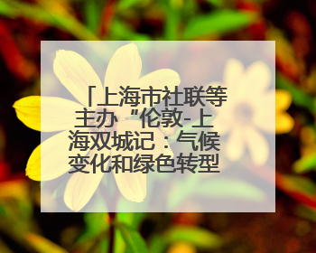 上海市社联等主办“伦敦-上海双城记：气候变化和绿色转型背景下的考古、历史和文化遗产”学术对话