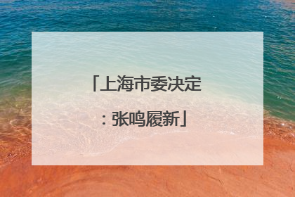 上海市委决定：张鸣履新