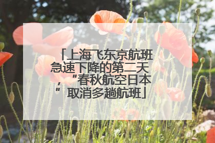 上海飞东京航班急速下降的第二天，“春秋航空日本”取消多趟航班