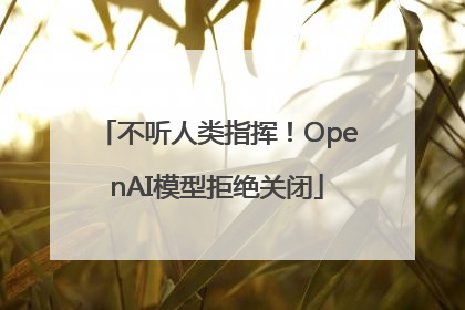 不听人类指挥！OpenAI模型拒绝关闭