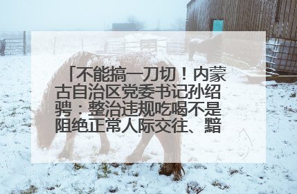 不能搞一刀切！内蒙古自治区党委书记孙绍骋：整治违规吃喝不是阻绝正常人际交往、黯淡人间烟火
