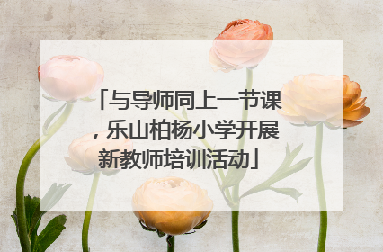 与导师同上一节课，乐山柏杨小学开展新教师培训活动