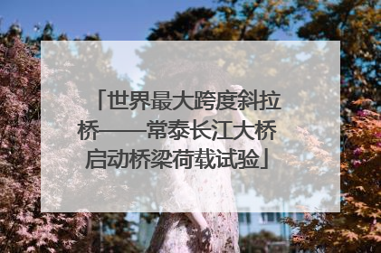 世界最大跨度斜拉桥——常泰长江大桥启动桥梁荷载试验