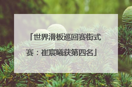 世界滑板巡回赛街式赛：崔宸曦获第四名