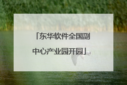 东华软件全国副中心产业园开园