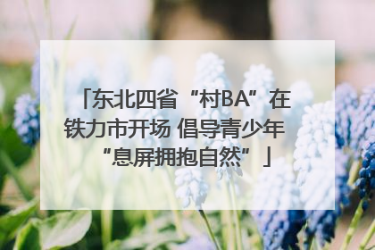 东北四省“村BA”在铁力市开场 倡导青少年“息屏拥抱自然”