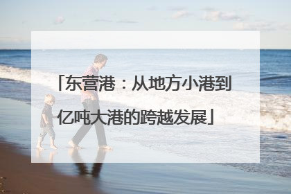 东营港：从地方小港到亿吨大港的跨越发展