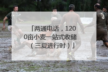 两通电话，1200亩小麦一站式收储（三夏进行时）