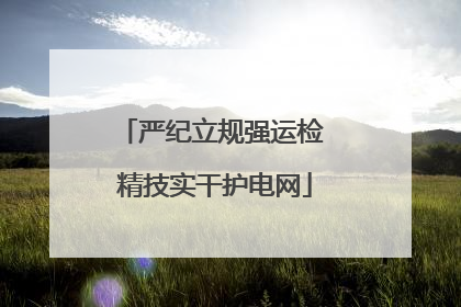 严纪立规强运检 精技实干护电网