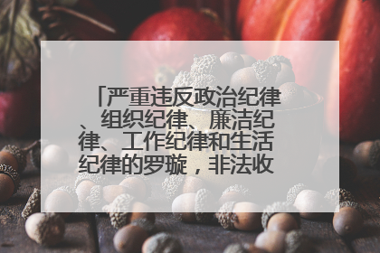 严重违反政治纪律、组织纪律、廉洁纪律、工作纪律和生活纪律的罗璇，非法收受他人巨额财物