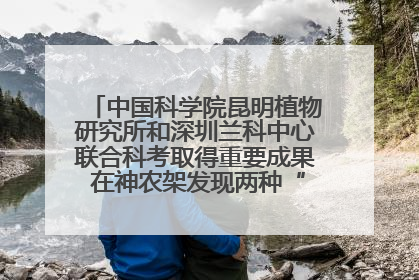 中国科学院昆明植物研究所和深圳兰科中心联合科考取得重要成果 在神农架发现两种“国保”级兰花