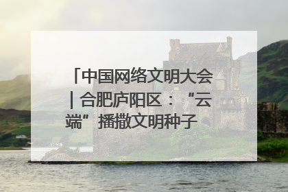 中国网络文明大会｜合肥庐阳区：“云端”播撒文明种子 共建清朗网络空间