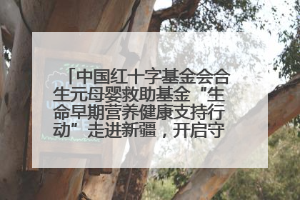中国红十字基金会合生元母婴救助基金“生命早期营养健康支持行动”走进新疆，开启守护母婴新篇章！