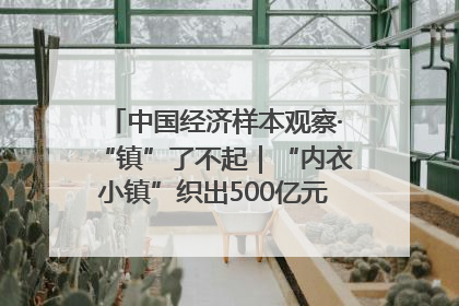 中国经济样本观察·“镇”了不起｜“内衣小镇”织出500亿元“里子产业”