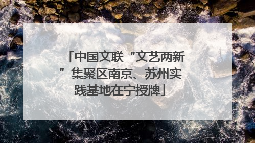 中国文联“文艺两新”集聚区南京、苏州实践基地在宁授牌